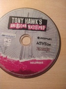 Tony hawk americano wasteland