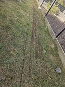 Pręt zbrojeniowy fi 6mm, 12m długie