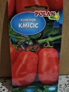 Pomidor "Kmicic"