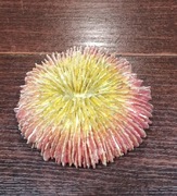 Sztuczny koral ozdoba do akwarium