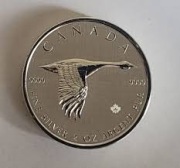Moneta Gęś Kanadyjska 2 oz