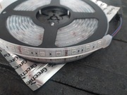 Taśma LED Greenie RGB 60/5050 SMD IP68 (gumowa obudowa) rolka 5m Nowa