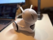 Robot Python - robot edukacyjny