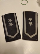 PAGONY LWP STARE CZARNE  - STARSZY CHORĄŻY