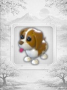 Brown Springer Spaniel Adopt Me