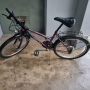 Rower górski marki Scout