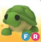 FR Turtle "Adopt me" roblox