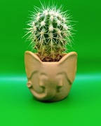 Oryginalna Osłonka 3D na doniczkę w Kształcie Głowy Słonia – Unikalna