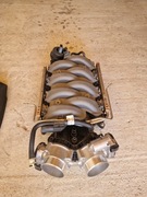 Mustang GT /Dark Horse 2024+ kolektor dolotowy, filtry i pokrywa silnika