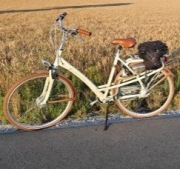 Rower trekingowy holenderski Batavus