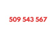509 543 567 STARTER ORANGE KARTA SIM UNIKATOWY ZŁOTY PROSTY ŁATWY NUMER