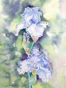 "W kwitnącym nastroju"