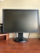 Monitor NEC MultiSync E223W
