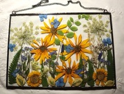 Witraż, dekor z suszonych kwiatów galiardia