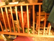 Drabinka gimnastyczna. Toruń. 