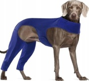 Hjyokuso Kombinezon regeneracyjny dla psów XXL niebieski