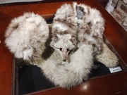 Komplet z lisa, futro - czapka i szalik PRL