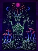 Obraz fluorescencyjny.