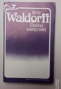 Dolina szarej rzeki Jerzy Waldorff
