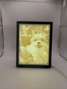 Ramka LED 3D – Twój Pupil jako Magiczna Litofania/ Psy/ Koty