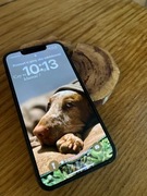 iPhone 13 mini zielony 128GB