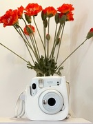 Aparat Instax Fujifilm mini 11 biały / ice white ZESTAW z oryg. futerałem