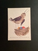 JÓZEF WILKOŃ - POCZTÓWKA - „WIELKANOC„ - 1965 rok