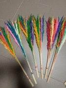 Trawa leśna kolory trzcinnik zboże susz naturalny trawy na palmy 