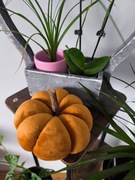 Welurowe dynię handmade kolor miedziany 