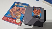 Gra TECMO WORLD WRESTLING  NES