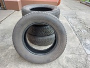 Opony zimowe YOKOHAMA Bluearth Winter V905 225/65R17