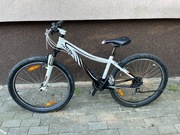 SPECIALIZED MYKA SPORT ROLETO - ALUMINIOWY ROWER MTB