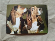 Kartka pocztowa pocztówka psy "Basset hound" K. Czapliński Z. Siemaszko KAW