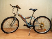 Rower Climber Premium