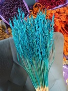 Owies turkus niebieski zboże suszone naturalne trawy ozdoby 