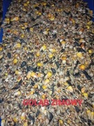 Karma dla gołębi zimowa 20kg