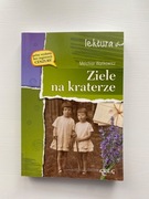 Ziele na kraterze Melchior Wańkowicz 