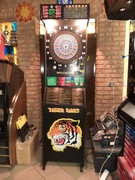 DART FIRMY WIK TIGER DARTS 