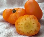 Pomidor Canadian Sunset - jasnożółty, mięsisty
