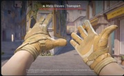 Witam chcę sprzedać skin do cs go,są to rękawice motocyklowe.