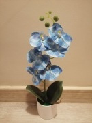 Piękny sztuczny niebieski storczyk 