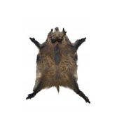 Skóra z Dzika Skóra Naturalna z Dzika Dekoracyjna