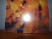 Steamhammer - Reflecion LP blues rock MN