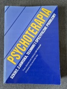 Psychoterapia: szkoły, zjawiska, techniki i specyficzne problemy