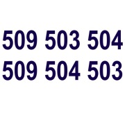 Złota Para 509 503 504_509 504 503