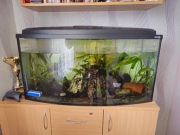 Akwarium 200 litrów l L