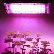 Lampa panel LED 50 - full spectrum - do uprawy roślin i kwiatów - USB