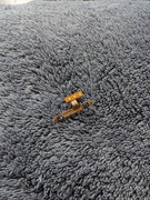 Taśma bocznych przycisków  Samsung Galaxy M12 / A12