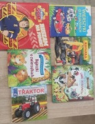 Mix książek dla chłopców 