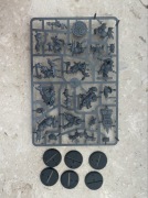 Orc Blood Bowl Team - Gouged Eye